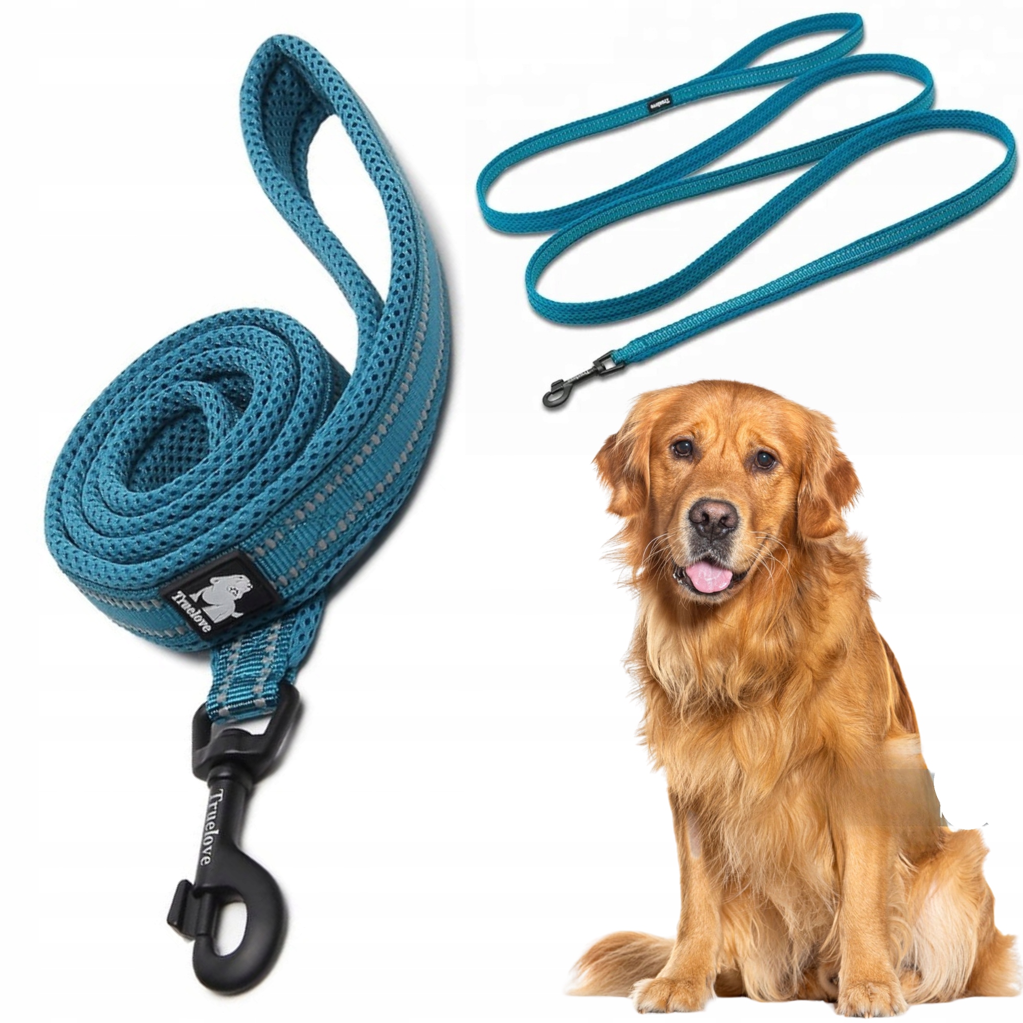Levně Vodítko Pro Psa Reflexní Silná Truelove Active Modrá 200 CM Velikost L