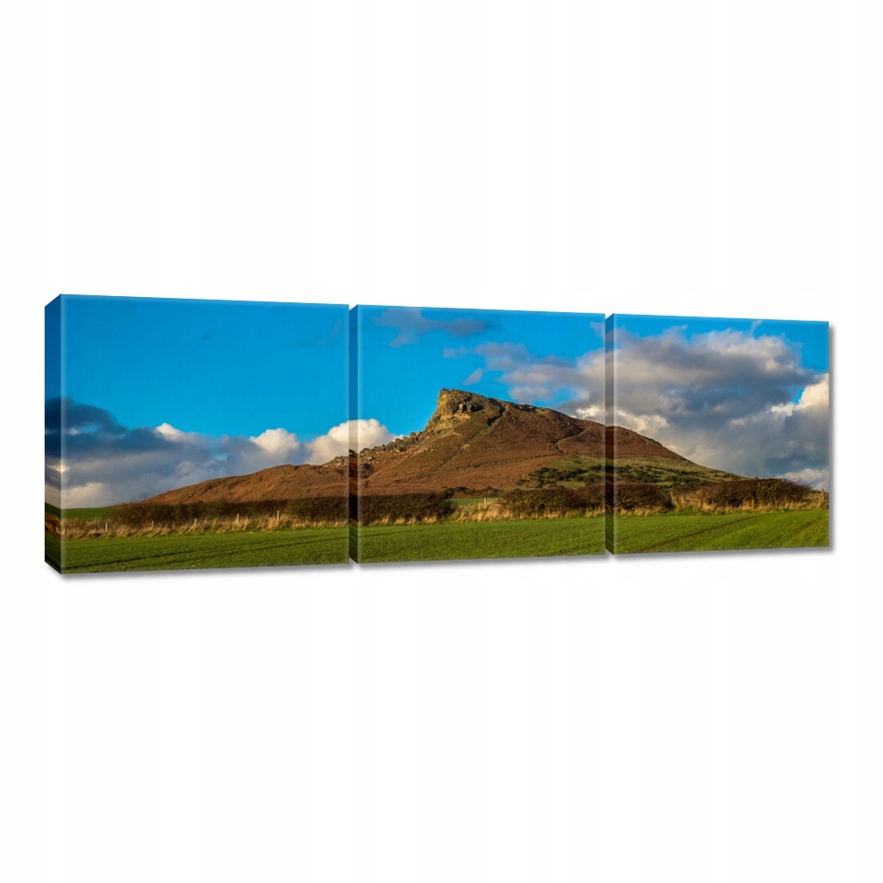 

Obrazy 120x40 Widok z łąką Góra