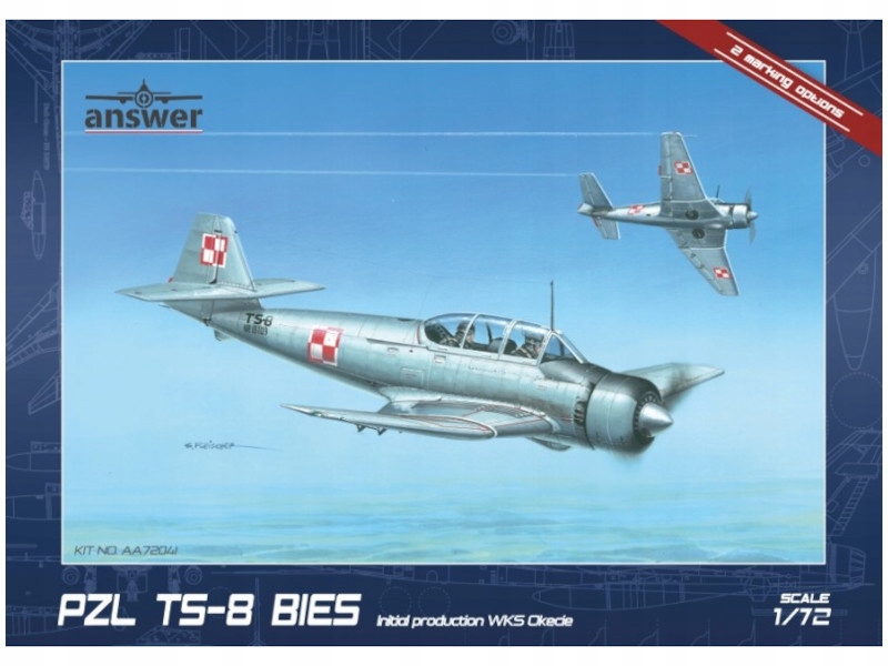 Letoun Pzl TS-8 Bies Initial Production Wks Okęcie model AA72041 Answer