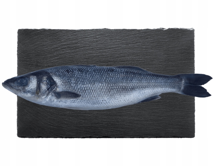 Čerstvý labrax, celý mořský okoun Cromaris, 3ks