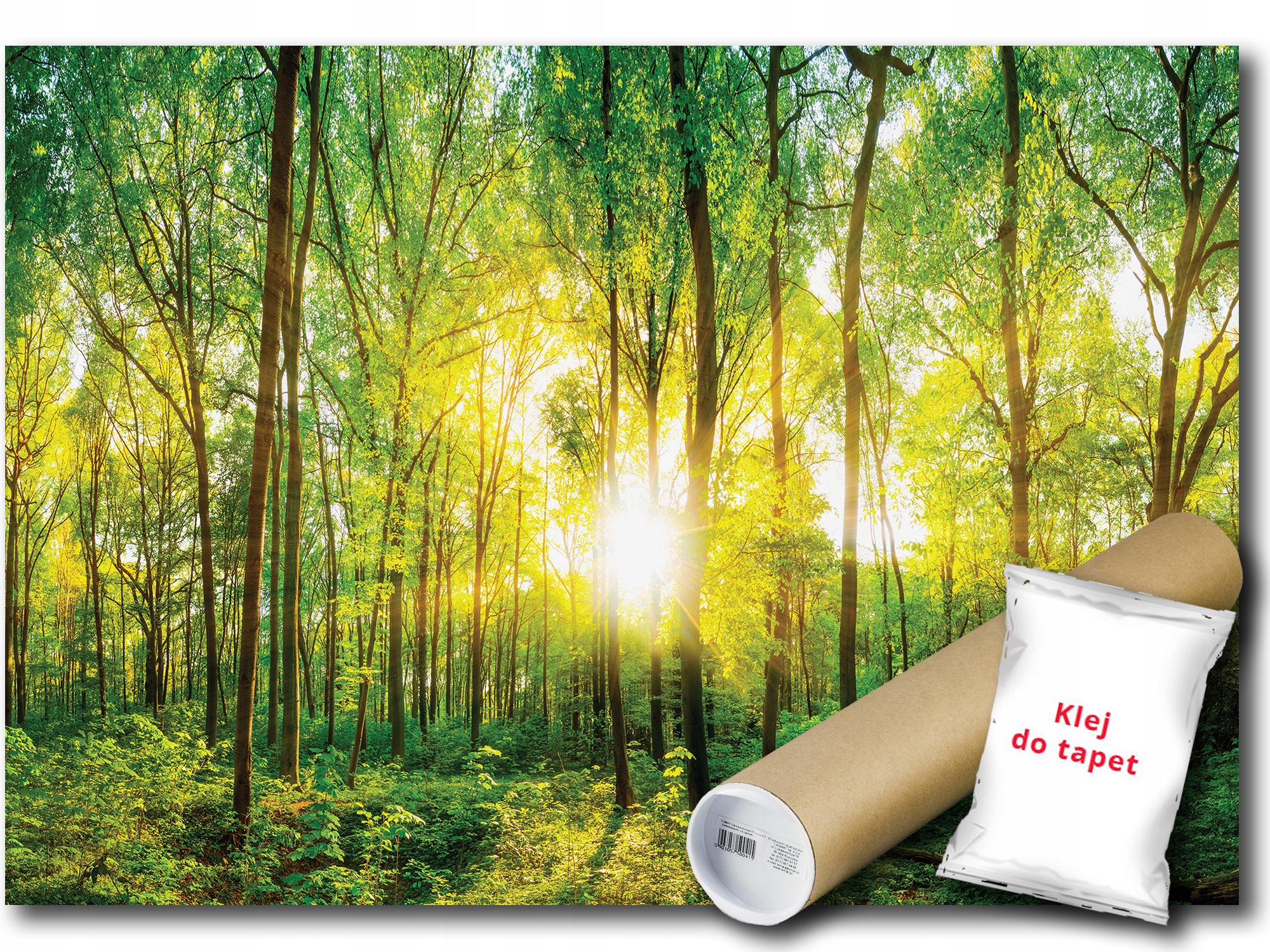 Fototapeta Flizelina Les Stromy Slnko 312x219