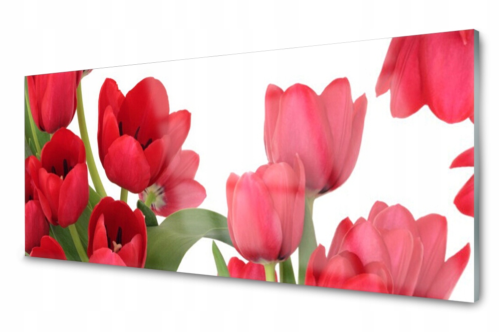 Sklenený panel do kuchyne Tulipány Kvety 125x50