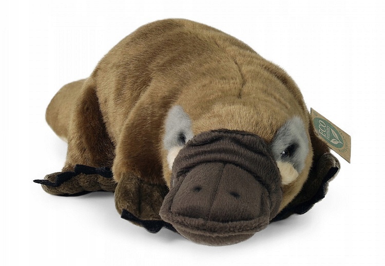 

Dziobak Pluszowy 211582 Maskotka 30 CM