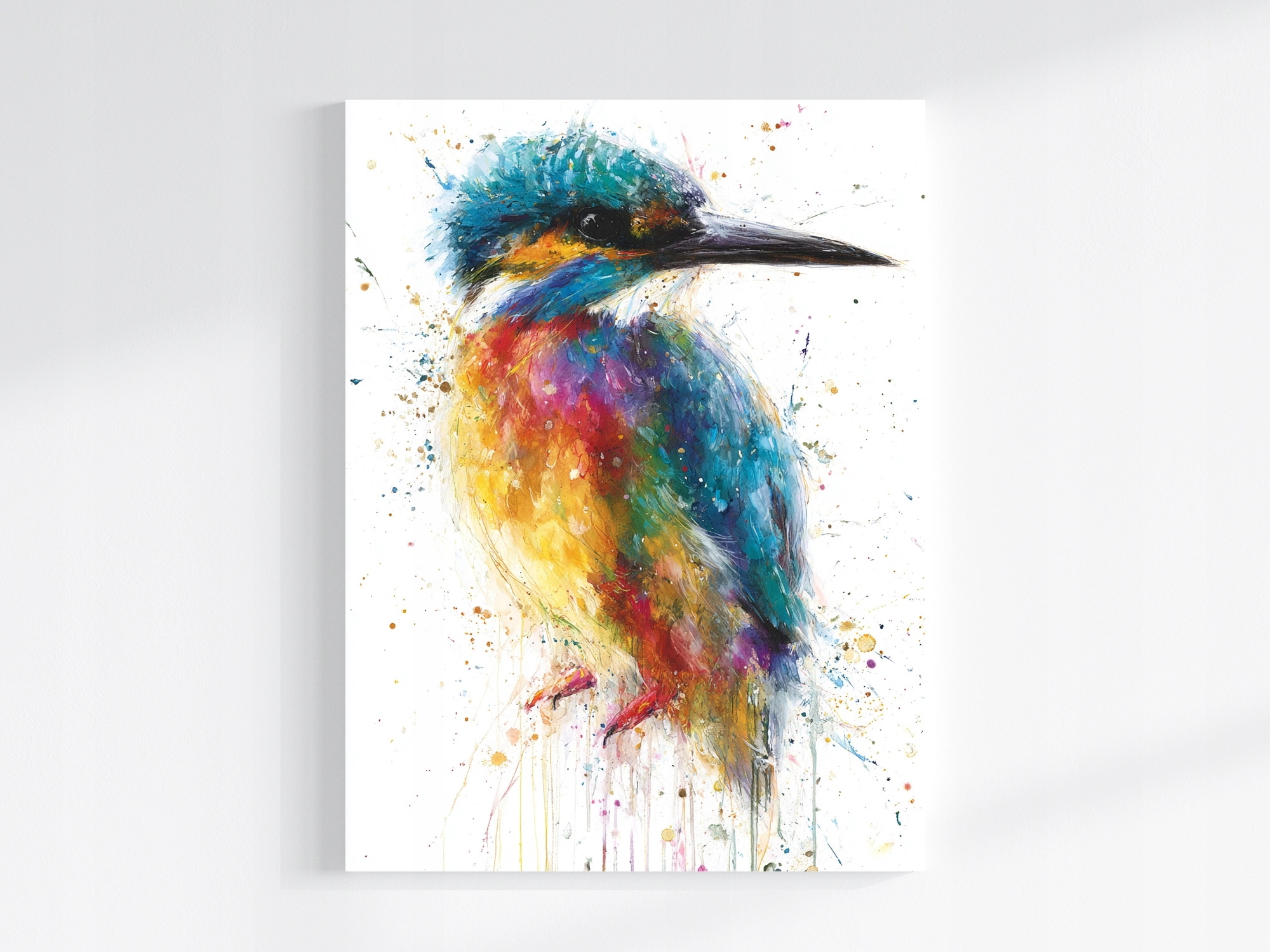 Obraz Na Plátně Canvas Příroda Barevný Pták Zimorodek 60x80