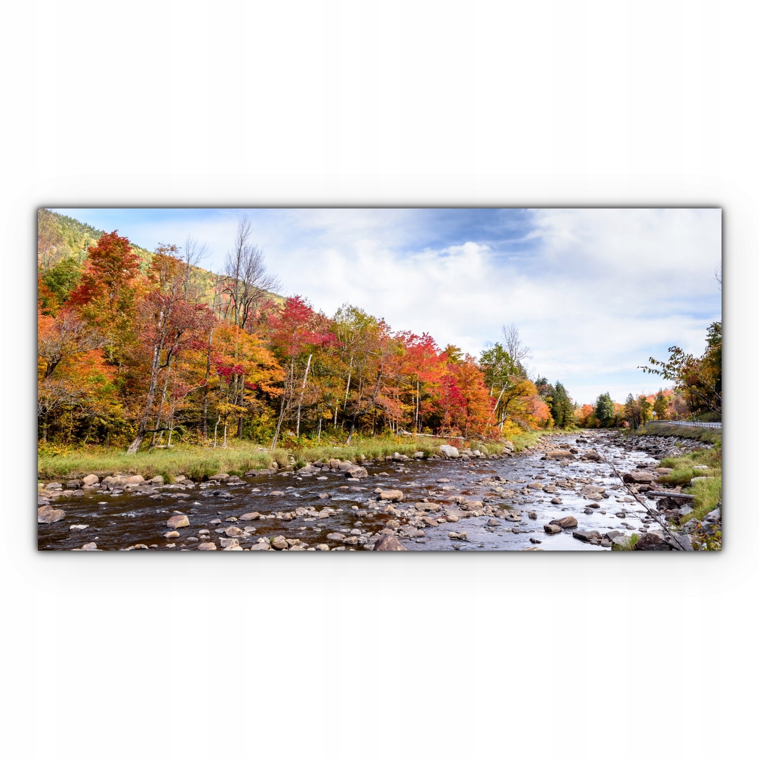 

Obraz na płótnie z foto 140x70 Jesień Drzewa Rzeka