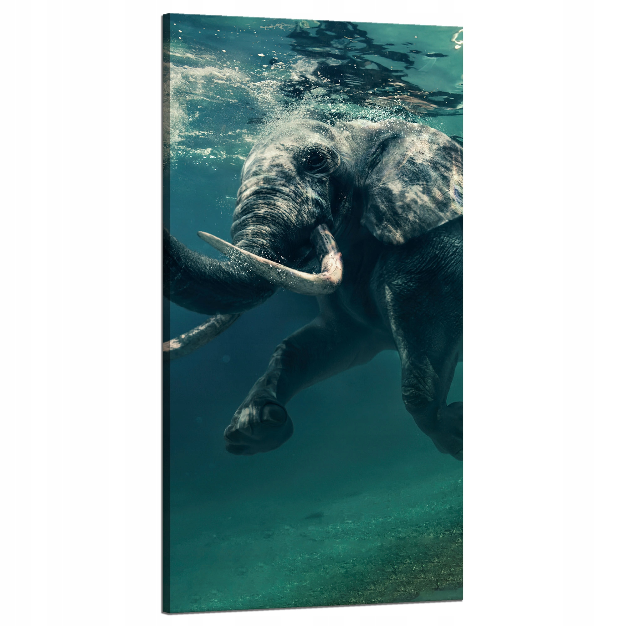Obraz na plátně Plovoucí slon ve vodě Umění 60x120 cm