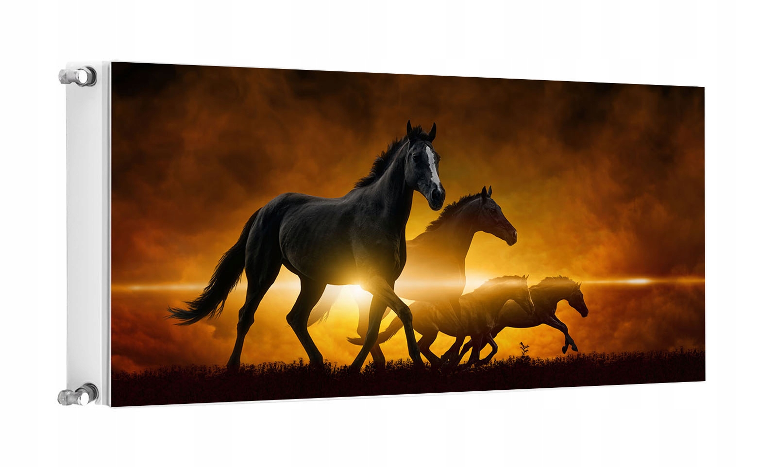 Magnet Magnetická Podložka Na Radiátor 120x60 Koně Fototapeta
