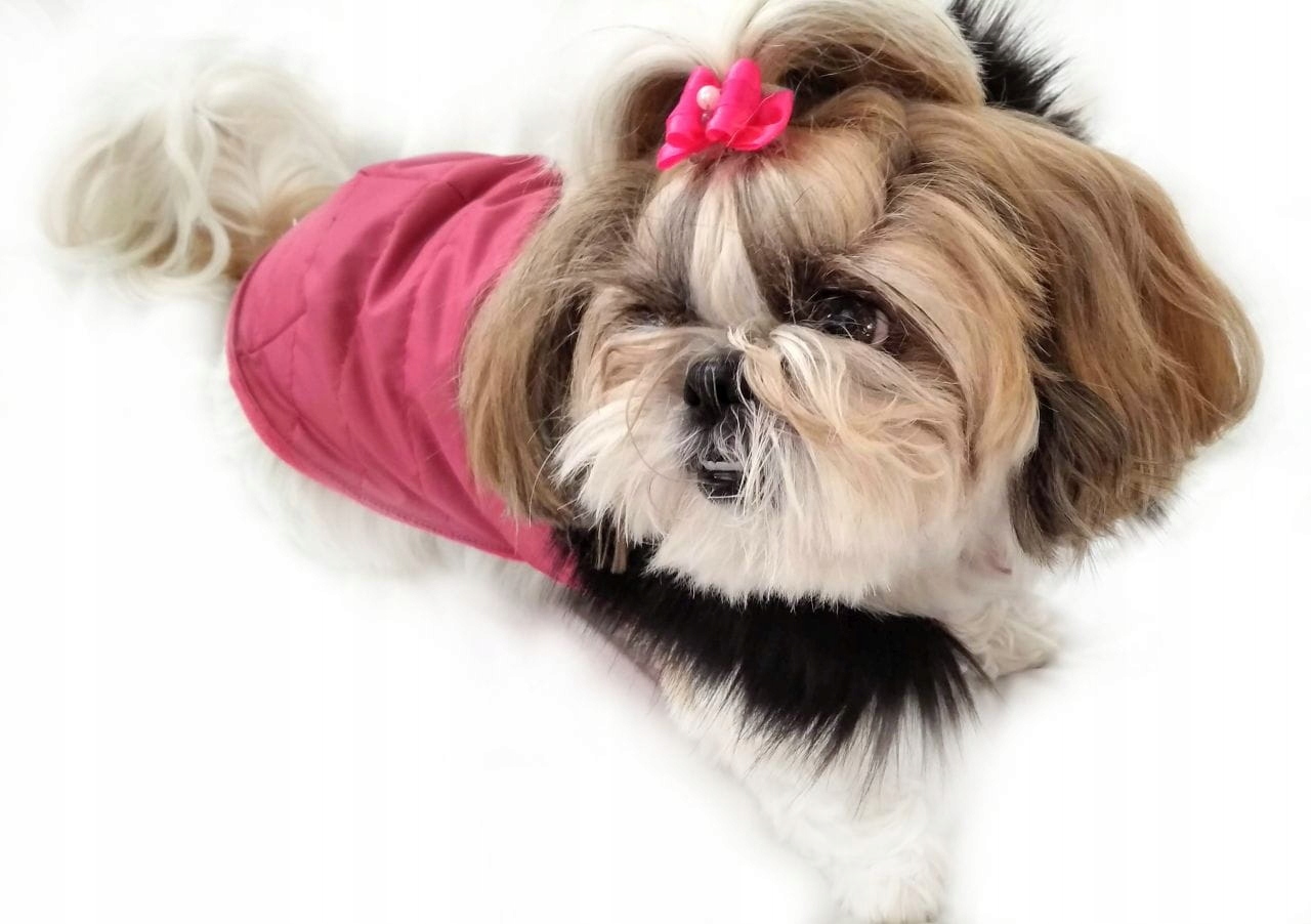 

Ręcznie szyta kurtka e różowa Xxxs Shih Tzu