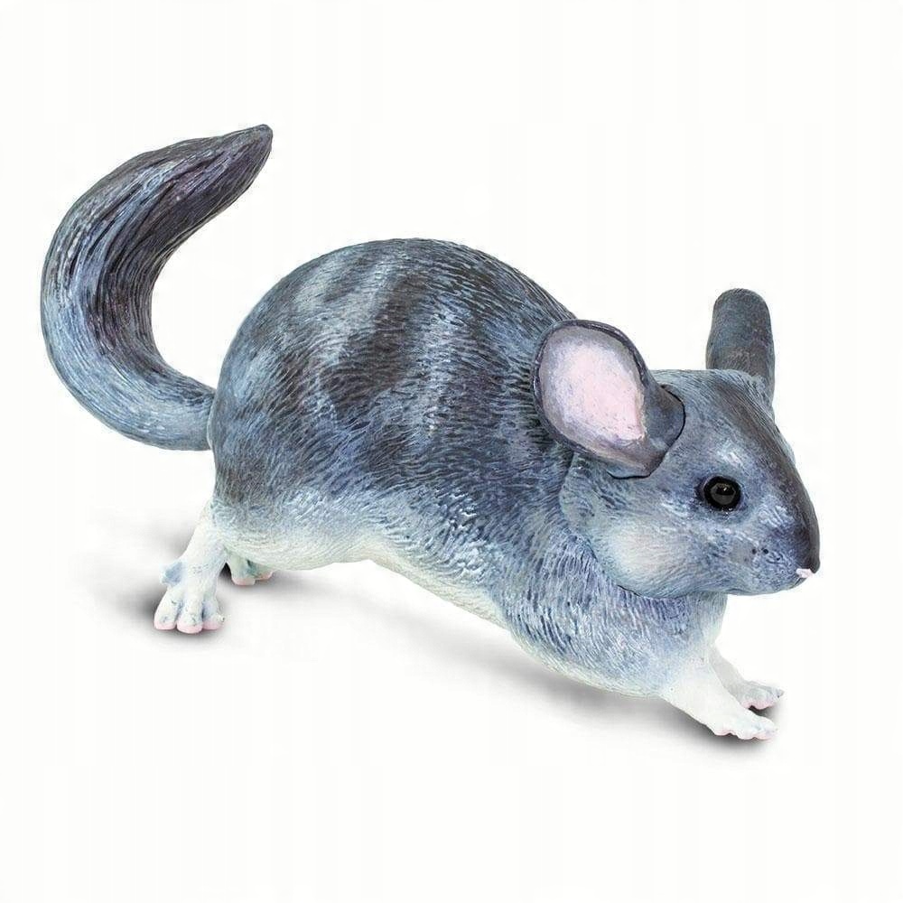 

Szynszyla Chinchilla Safari Ltd. 100075