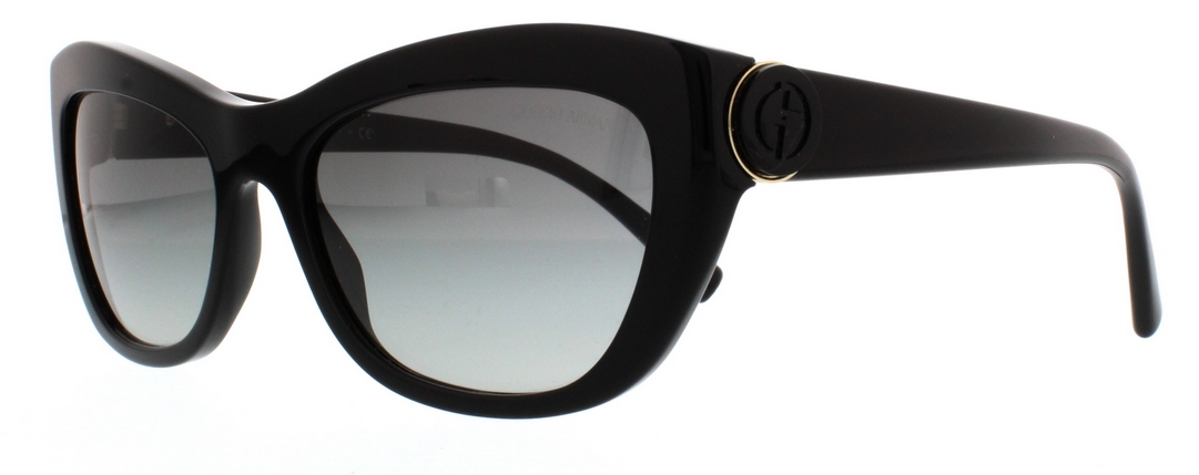 Sluneční Brýle Giorgio Armani Ar 8029 5017/11 55-18-135 2N