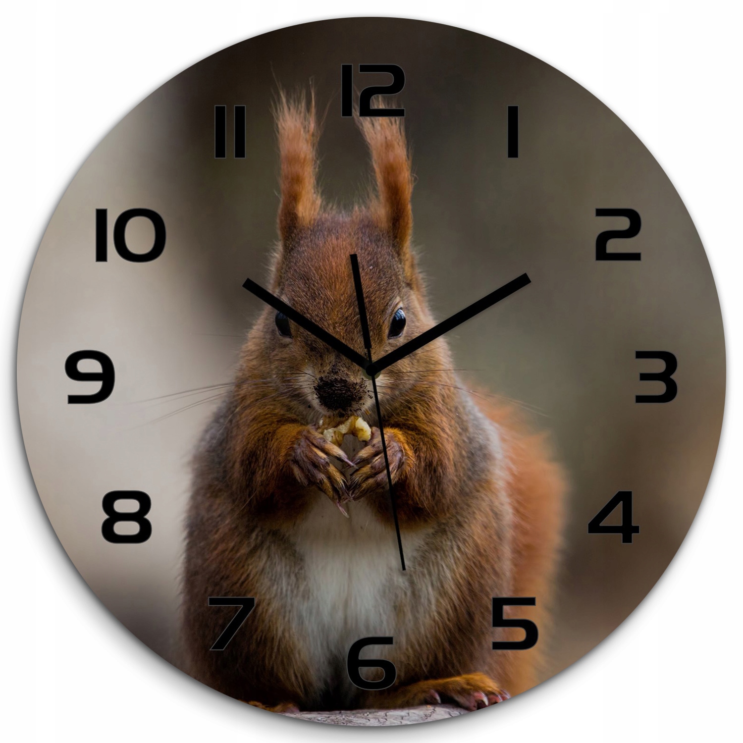 

Duży okrągły zegar szkło hartowane Wiewiórka fi 60