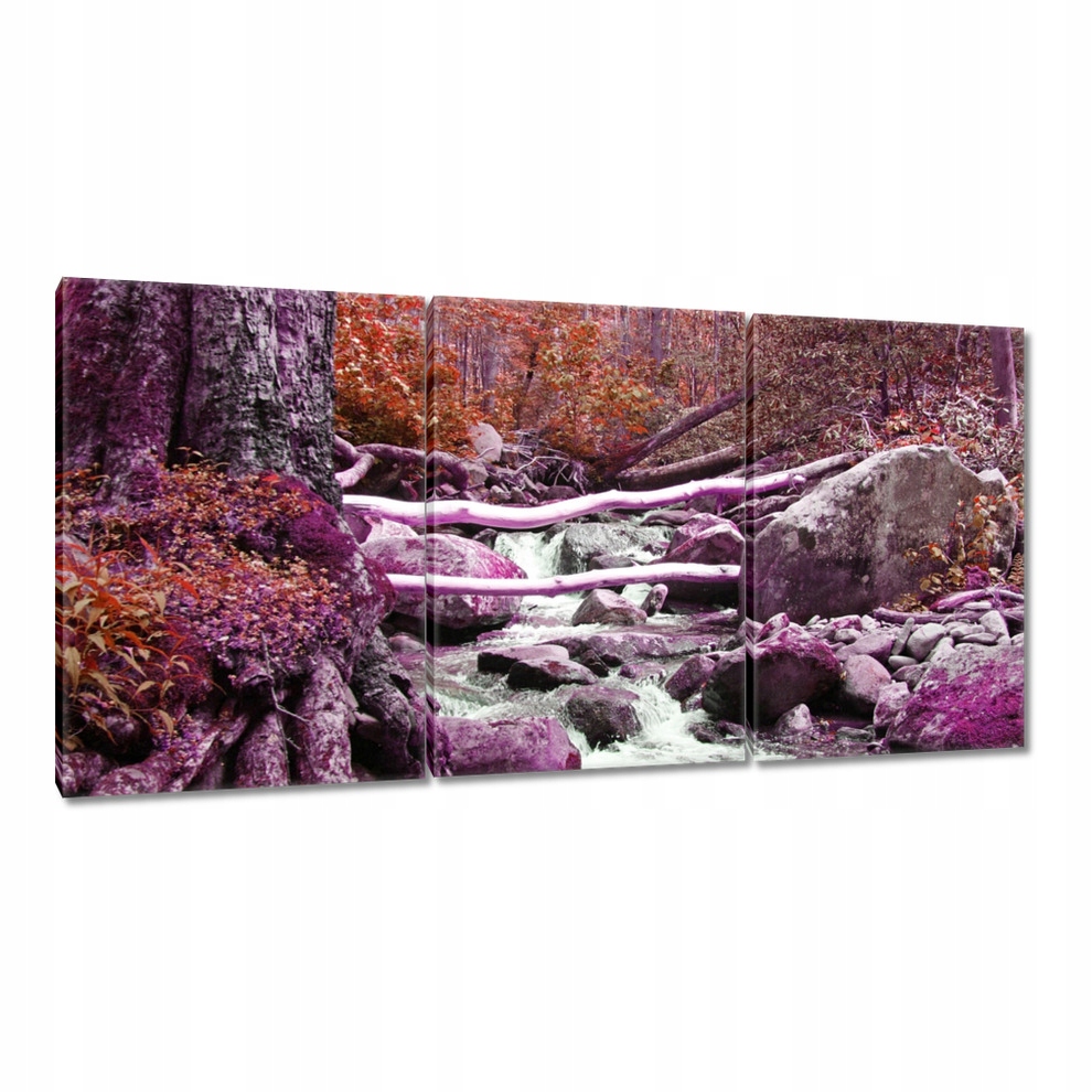 

Obrazy 120x60 Fioletowa kaskada