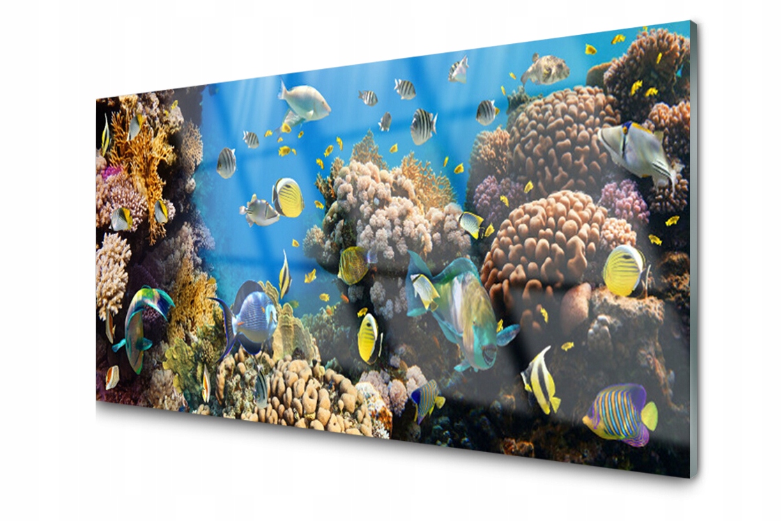 

Panel szklany dekoracyjny Rafa Koralowa 100x50