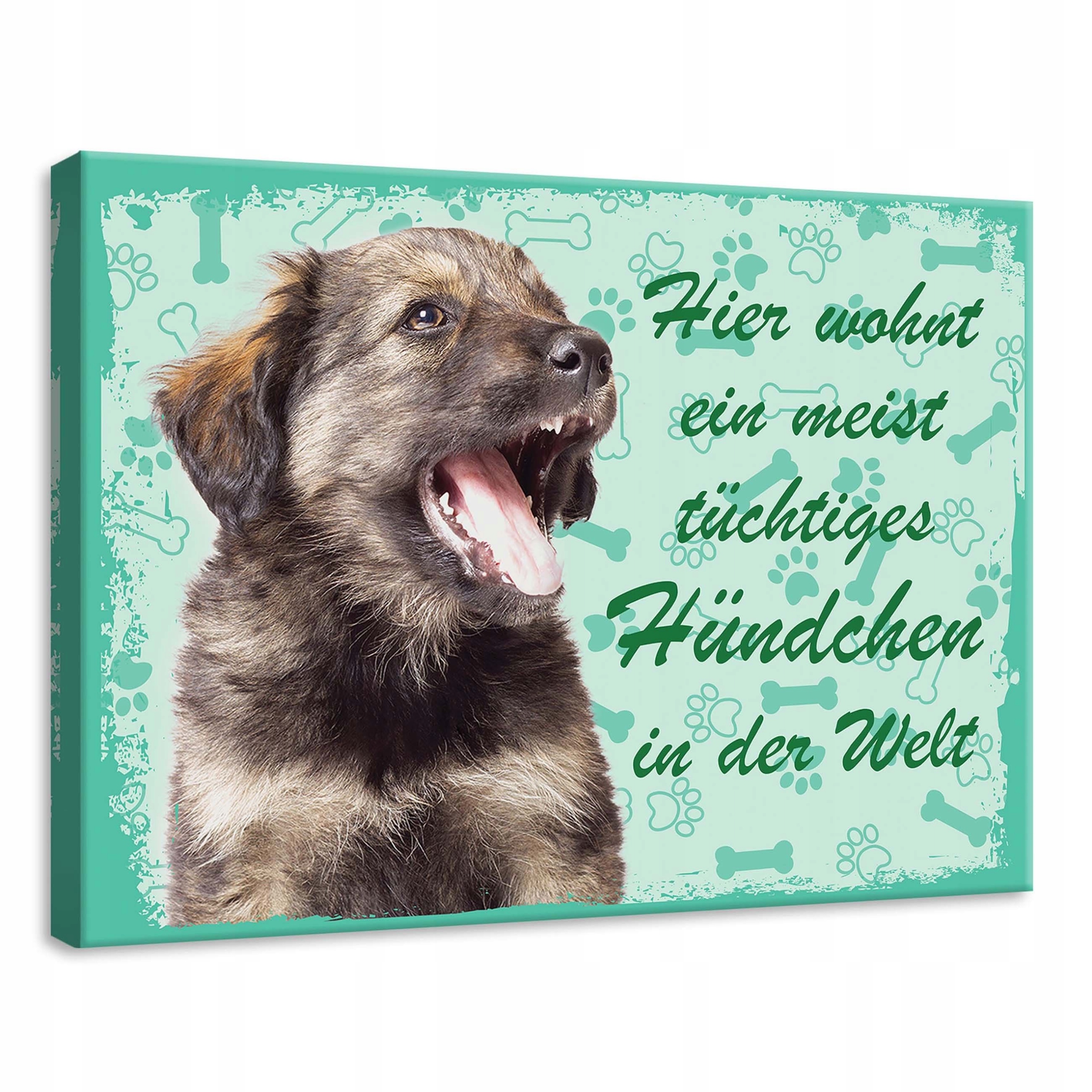 Obraz 70x50 Štěňátko pejsek roztomilý zábavný mazlíček kosti otisky tlap