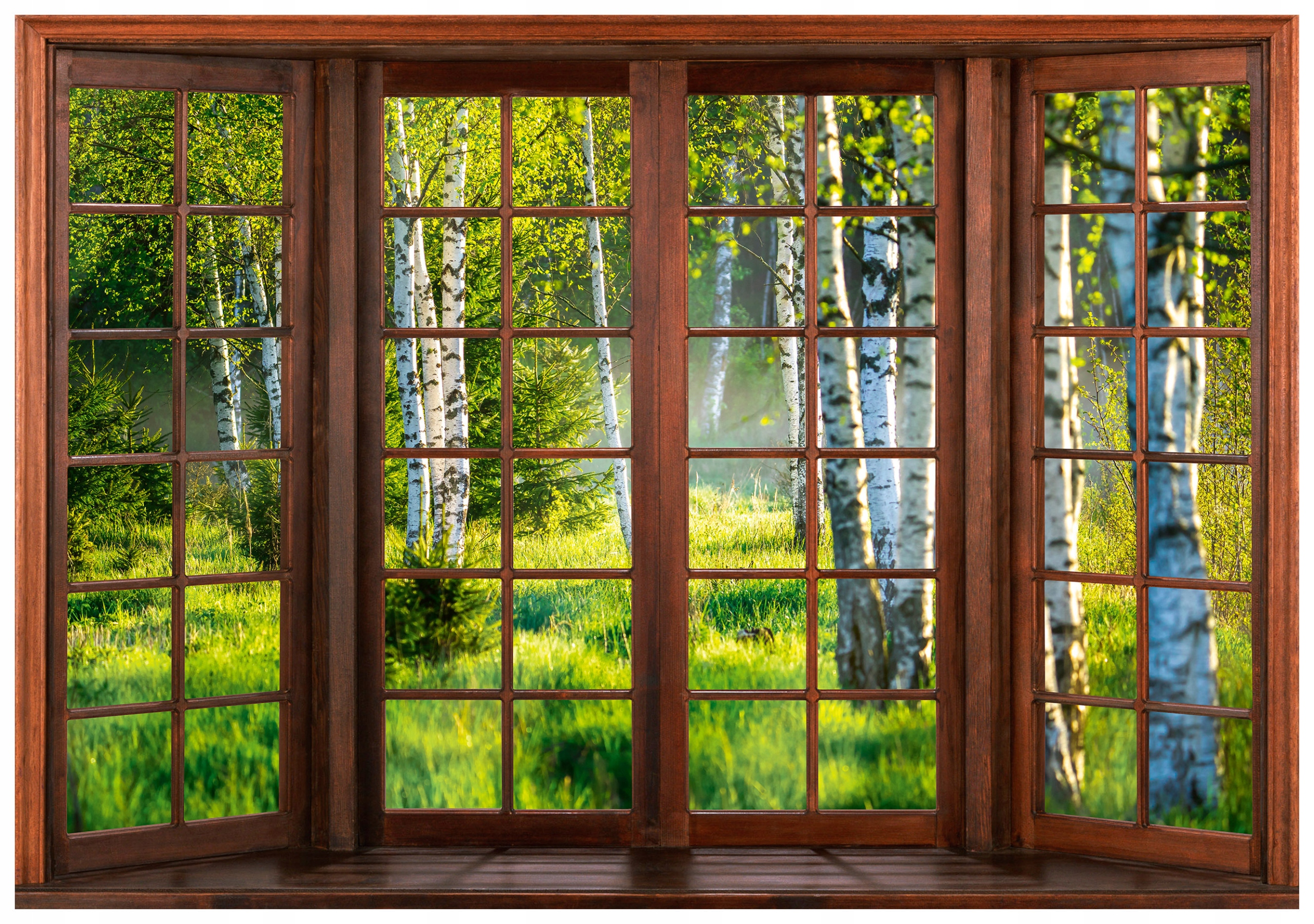 Fototapeta Břízový les Pohled z okna Příroda 312x219 Dekorace stěn lepidlo