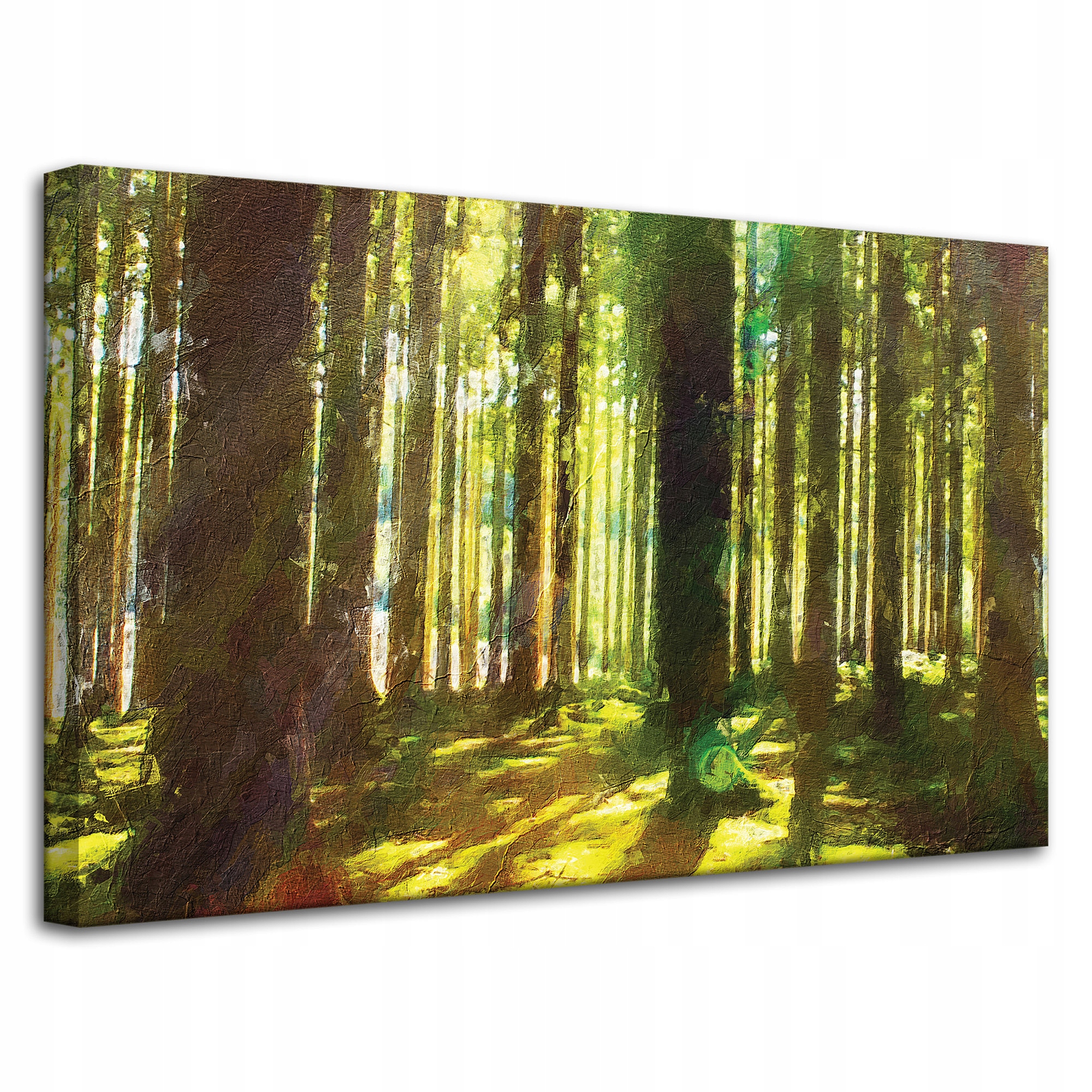 Obraz na plátně Olejový les Stromy Světlo Příroda 80x50 cm