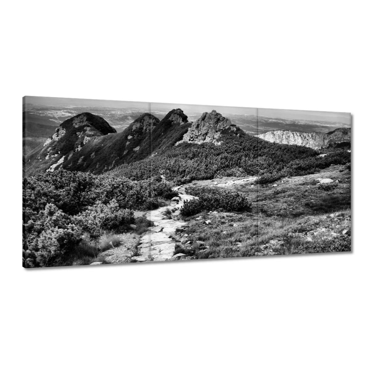 Obrazy 180x90 Tatry Poľské hory Pohľad