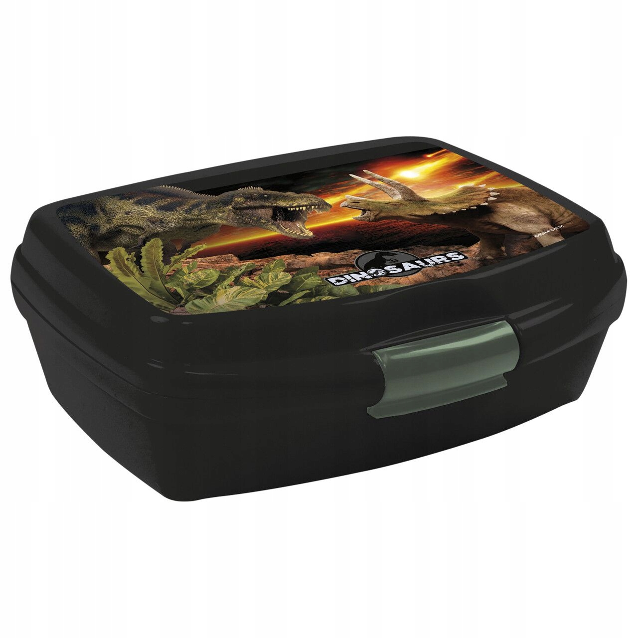 

Śniadaniówka Lunchbox Dla Chłopaka Dinozaury Dino