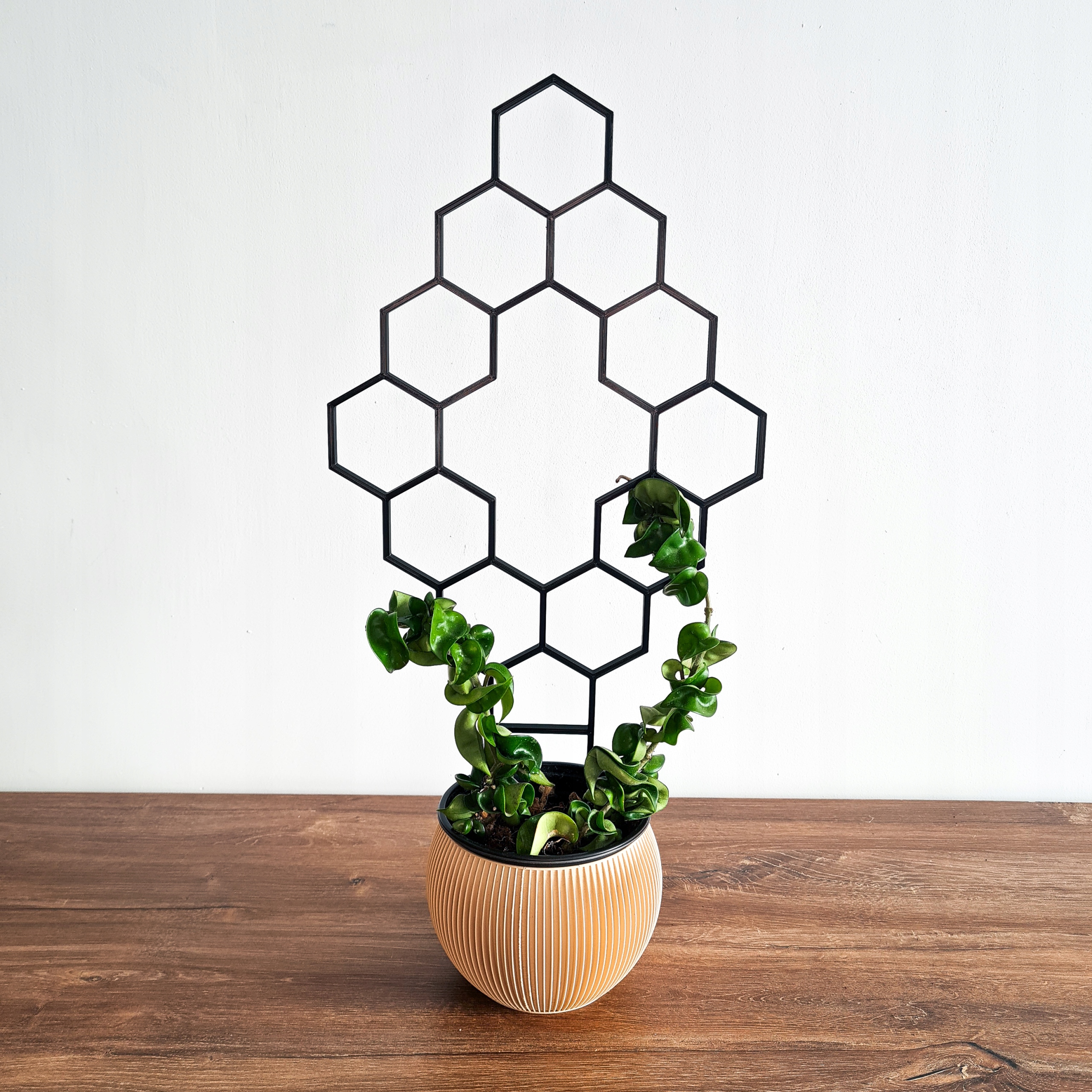 PODPÓRKA DO KWIATÓW DRABINKA DO ROŚLIN PNĄCYCH PERGOLA CZARNA XL 44cm Kod producenta Hexy_8_XL