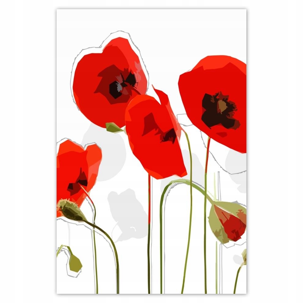 

Plakaty 40x60 Czerwone maki Kwiat