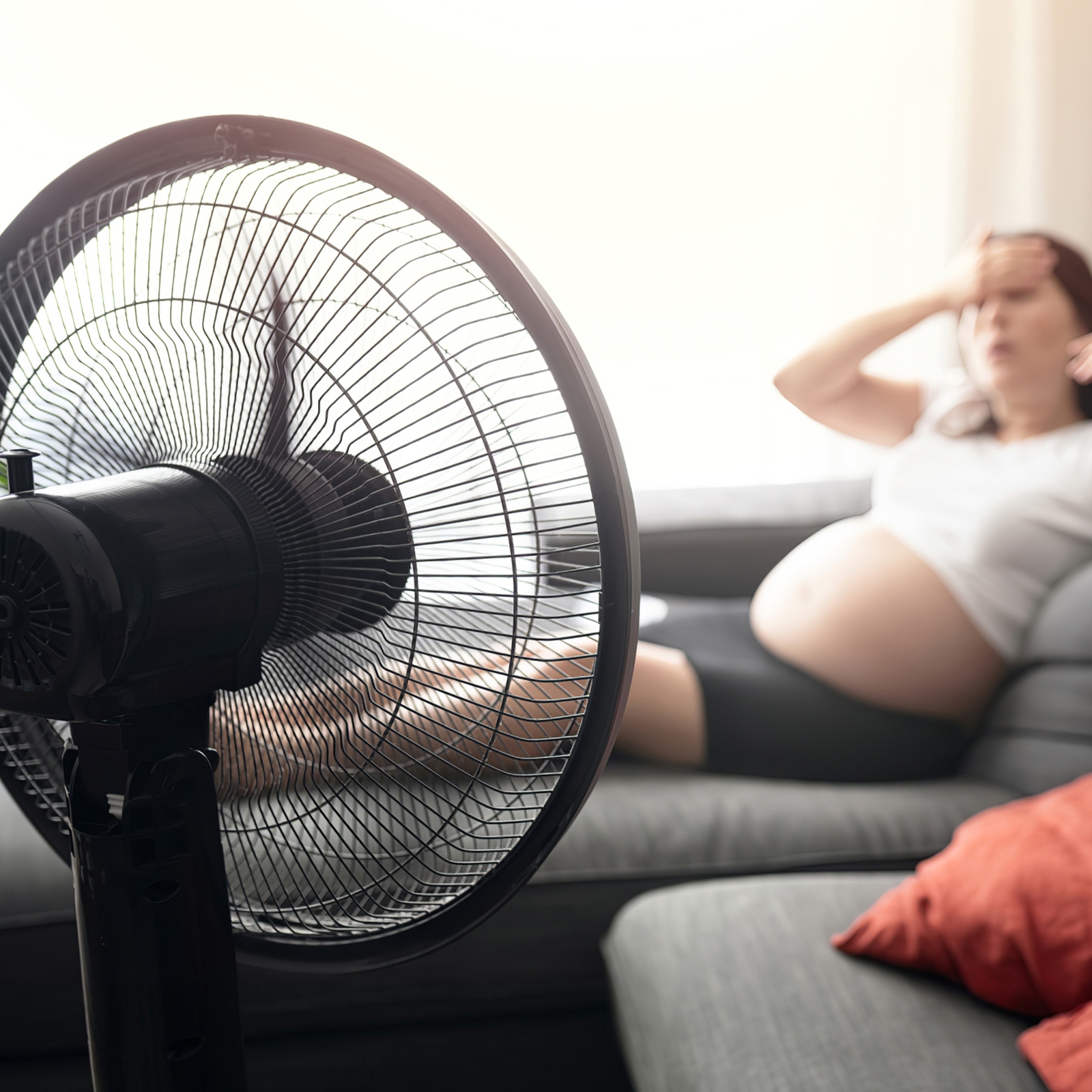 ELEKTRYCZNE ŁOPATY WENTYLATORA PODŁOGOWEGO Rodzaj wentylator