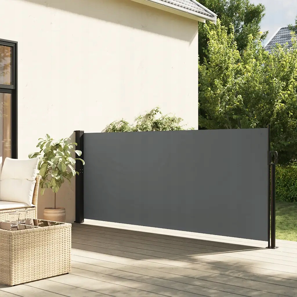Zatahovací boční markýza antracitová 100 x 300 cm Antracitová 4004278