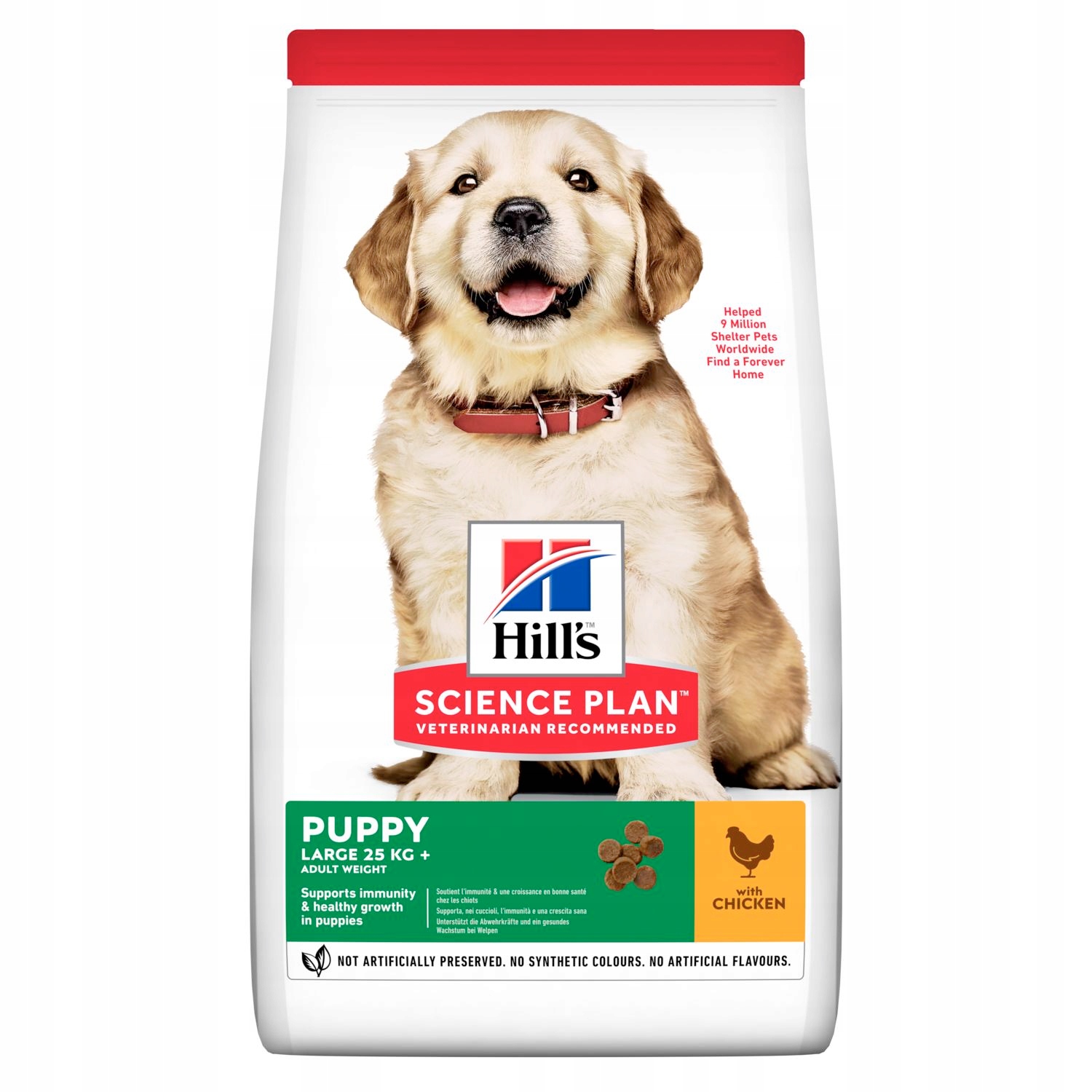 Sucha karma Hill's Science Plan Puppy Large Breed 14,5 kg