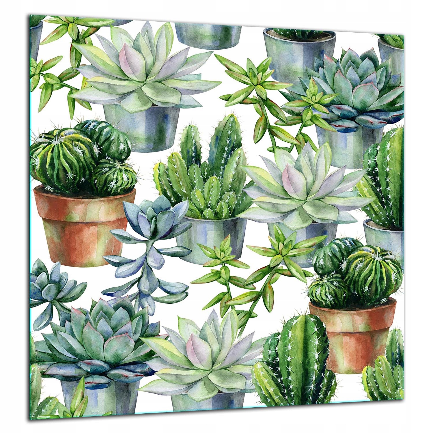 7v1 Skleněná Ochranná Deska Panel Lepidlo 60x65 Kaktus