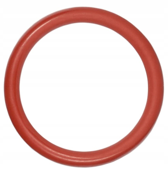 Uszczelka bloku zaparzacza ekspresu SAECO PHILIPS