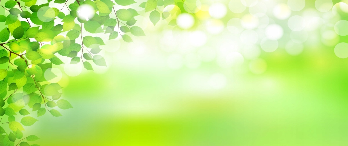 

Tapeta flizelinowa Liście Zielony 250x104