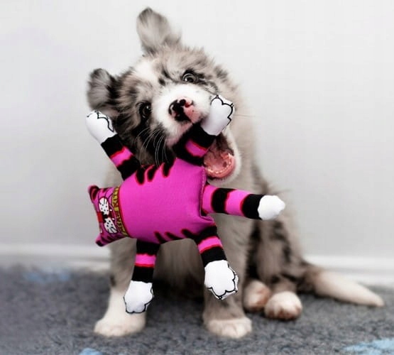 

Fat Cat Terrible Nasty Scaries dla małych psów