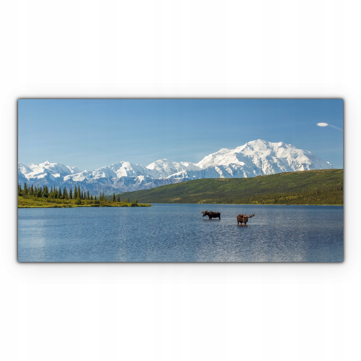 

Obraz Canvas dekoracja 100x50 Jezioro Łosie Alaska