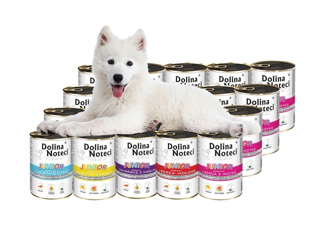 Levně Dolina Noteci Premium Vlhké krmivo pro psy junior mix chutí 20x400 g