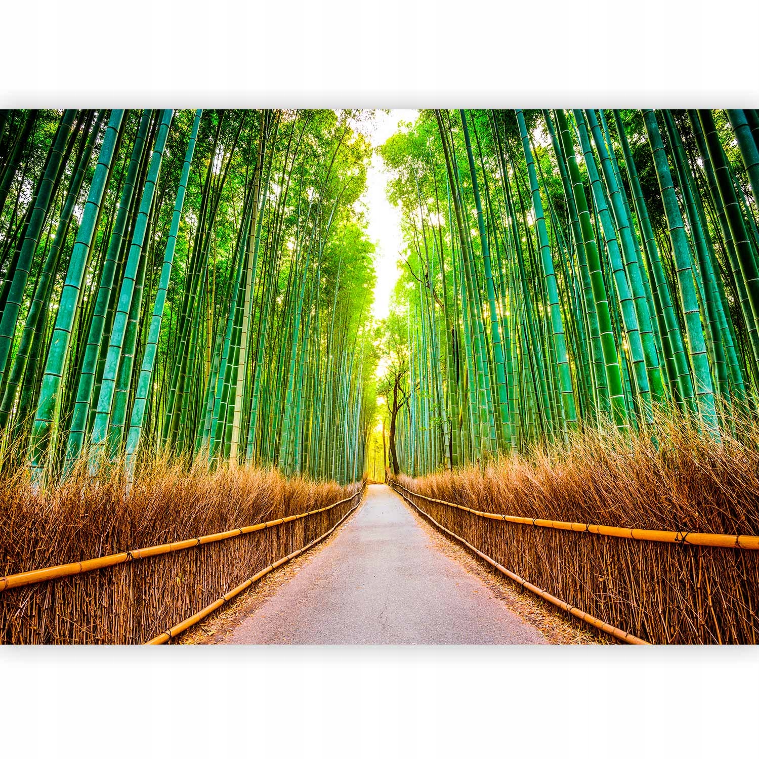 Fototapeta Premium Bambusowy Las Salon Tapeta Ścienna Flizelina 450x315