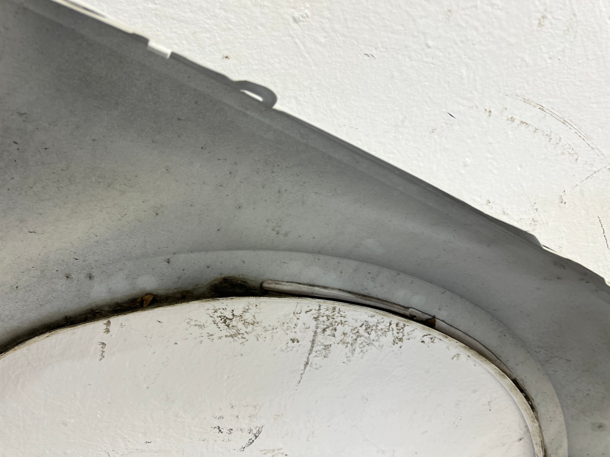 AUDI A4 B9 16-19 fender left front front W colour LY9C original LAKIER