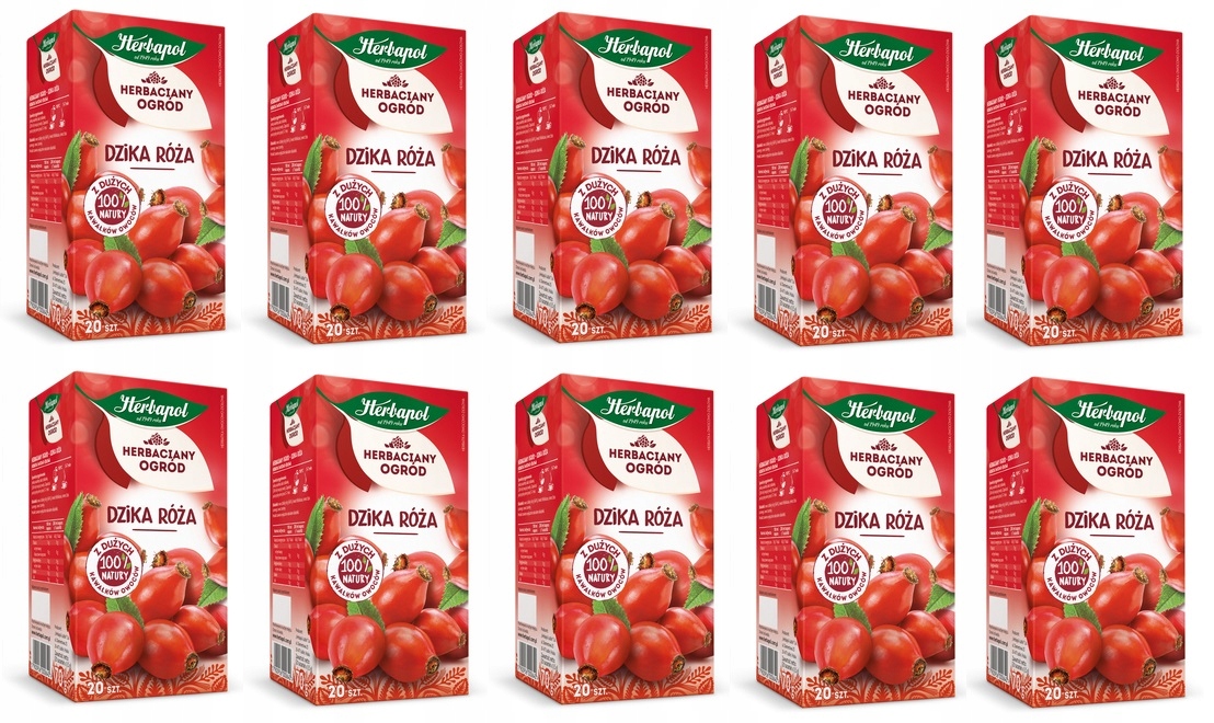 10x 70g Herbapol Herbaciany Ogród herbatka owocowa dzika róża 20tb Karton