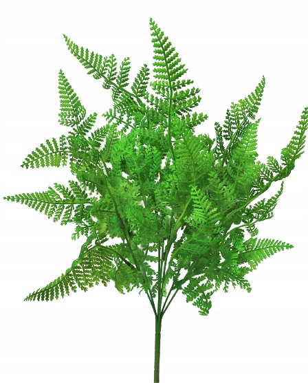 

Roślina sztuczna do terrarium zbiornika Paproć 06