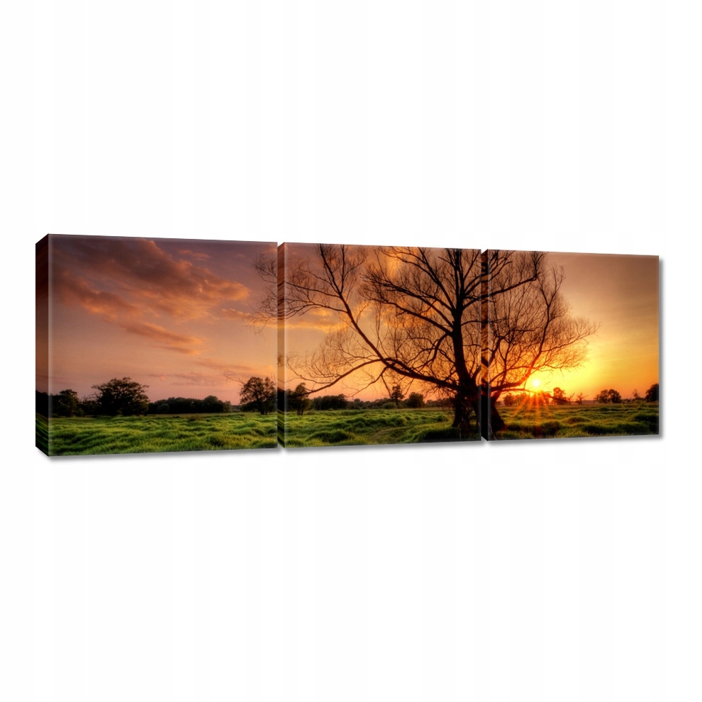

Obrazy 120x40 Wieczór w Rogalinie