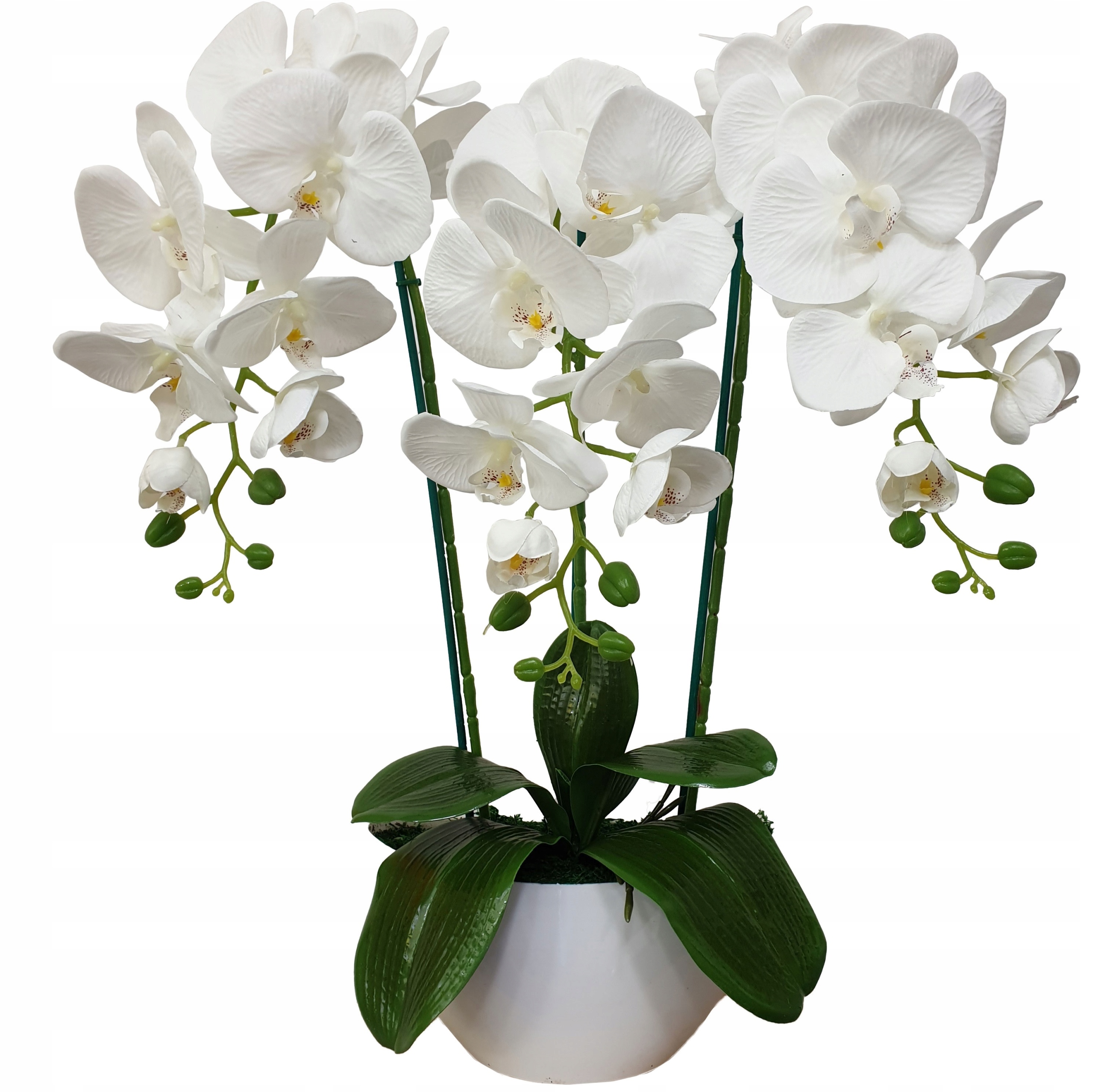 

Storczyk Sztuczny Storczyki Kwiat Orchidea 70 cm