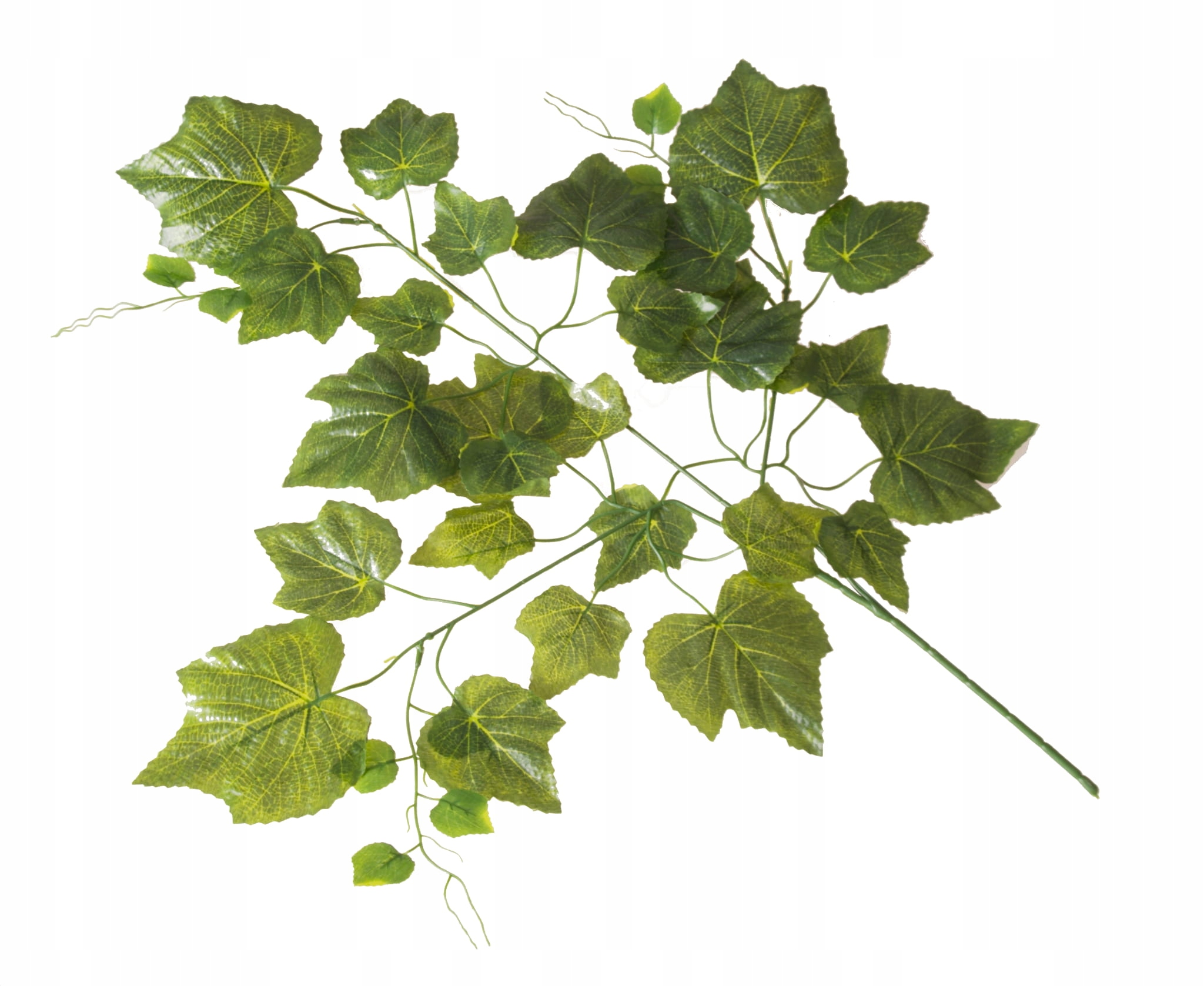 

Liść Liście Winogron Winorośli Gałązka 70 cm