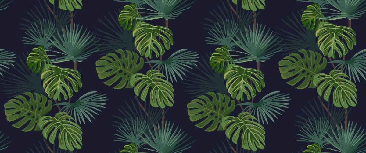 

Tapeta Flizelinowa Monstera dziurawa - 250x104