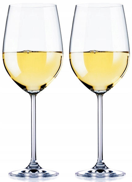 Kieliszek Lampka Do Wina CAMP4 375 ml 2 szt.