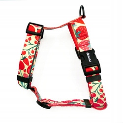 Levně Postroj pro psa Guard Fruit Jelly Psiakrew L/XL