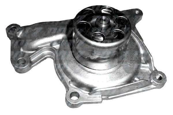 Dolz Vodní Čerpadlo Dacia Renault