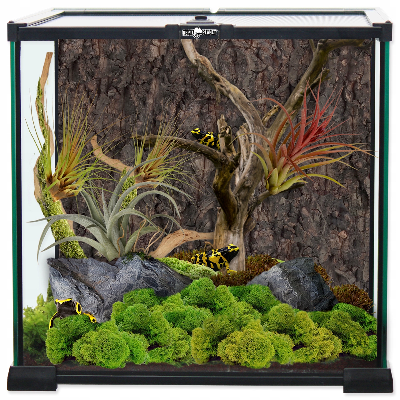 Terrarium szklane 30cmx30cmx30cm Repti Planet