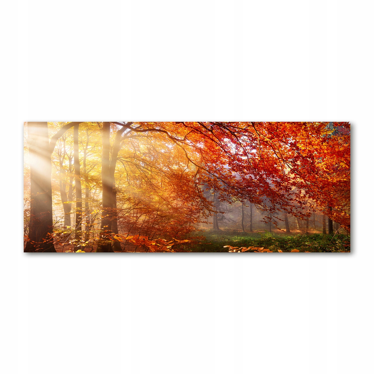 

Foto obraz akryl zdjęcie Jesienny las 125x50 cm