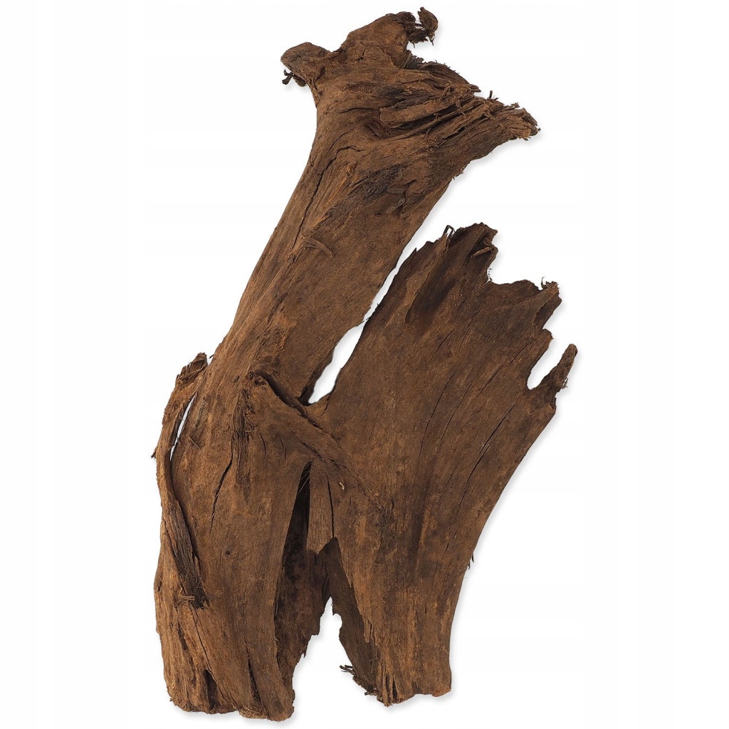 Levně Dekorace Repti Planet Kořen DriftWood Bulk M 29-36cm