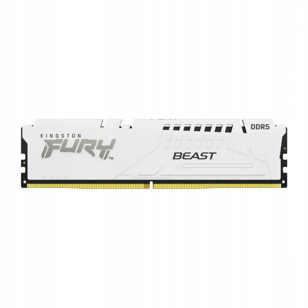 32 Gb DDR5 6000 Mt S CL36 DIMM Fury Beast White Expo