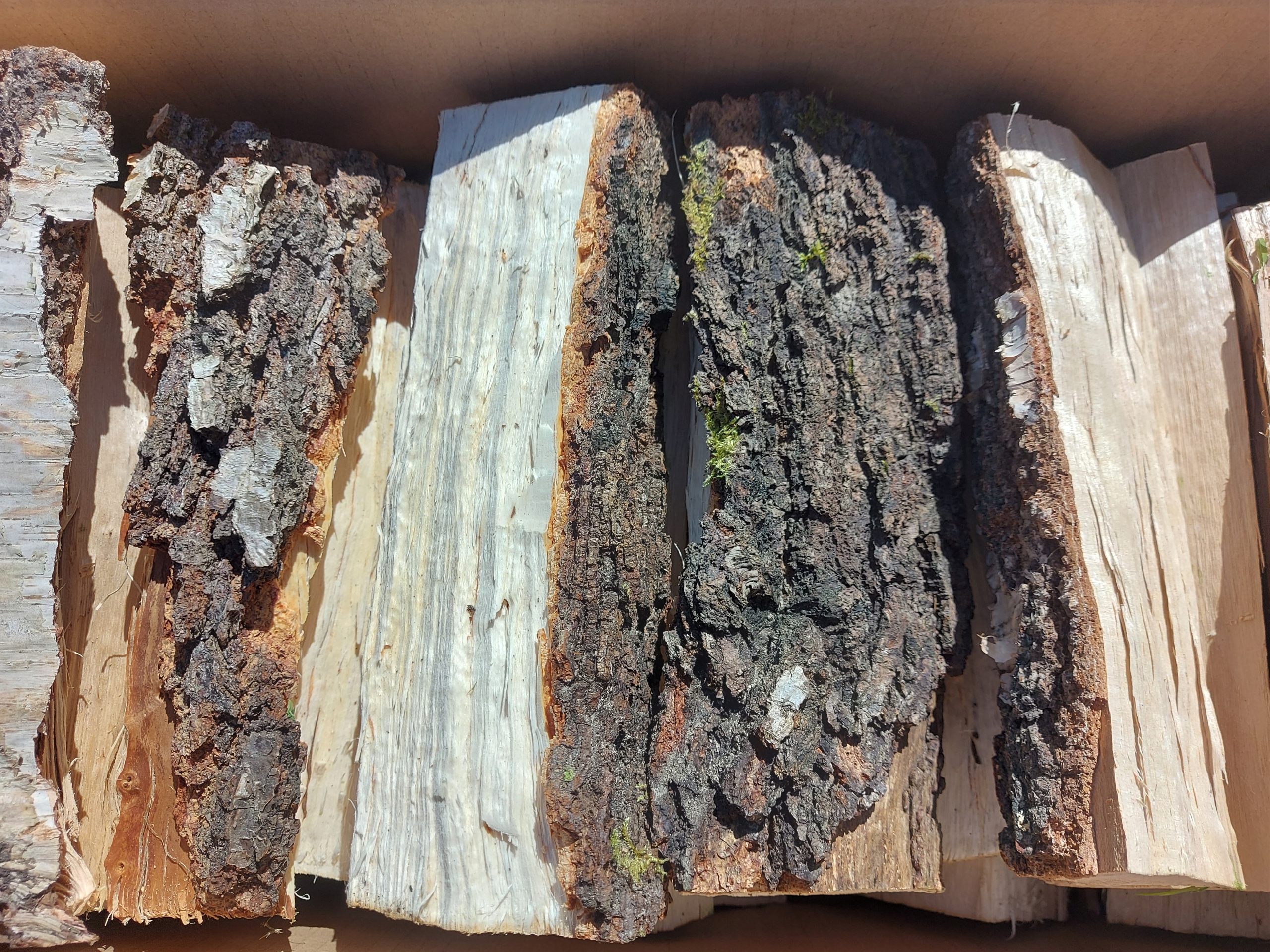 Drewno opałowe brzoza suche grill do wędzenia kominka pieca 10kg EAN (GTIN) 5906555627318