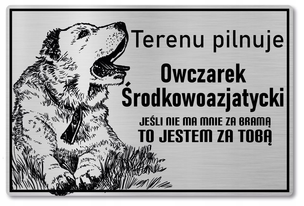 

Tabliczka uwaga pies Terenu pilnuje Azjata